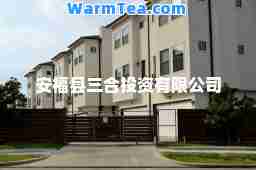 安福县三投资有限公司