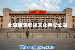 北京传映影视文化有限公司