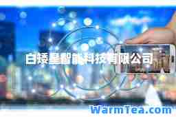 白矮星智能科技有限公司