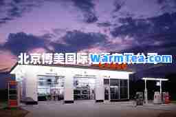 北京博美拍卖有限公司