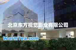 北京东方视觉影业有限公司