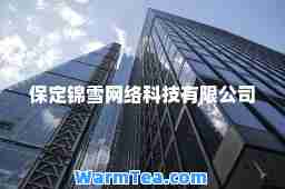 保定锦雪网络科技有限公司