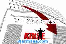保定网城软件股份有限公司