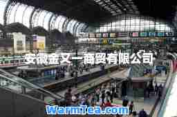安徽金又一商贸有限公司