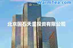 北京国石天玺投资有限公司
