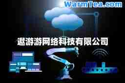 遨游游网络科技有限公司