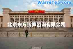 北京东方咨询有限公司