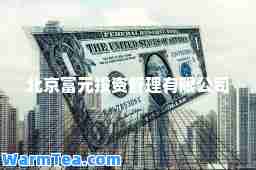 北京富元投资管理有限公司