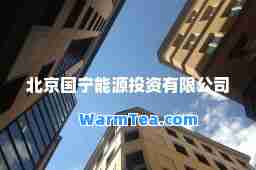 北京国宁能源投资有限公司