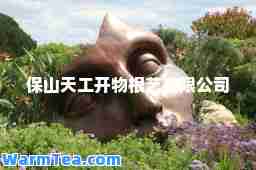 保山天工开物根艺有限公司