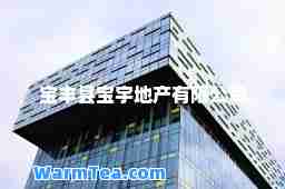宝丰县宝宇地产有限公司