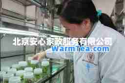 北京安心家政服务有限公司 北京安心家政服务有限公司