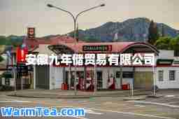 安徽九年储贸易有限公司