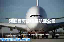 阿联酋阿提哈德航空公司