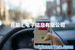 百脑汇电子信息有限公司