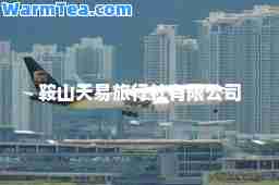 鞍山天易旅行社有限公司