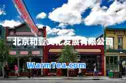 北京和壹文化发展有限公司