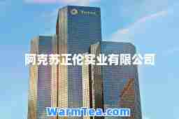 阿克苏正伦实业有限公司