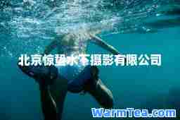 北京惊蛰水下摄影有限公司