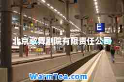 北京歌舞剧院有限责任公司