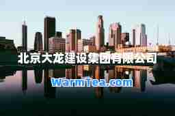 北京大龙建设集团有限公司