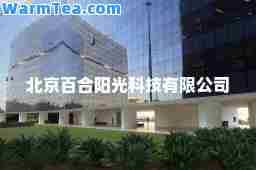 北京百阳光科技有限公司