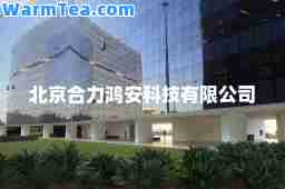 北京力鸿安科技有限公司