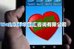 北京环宇智汇咨询有限公司