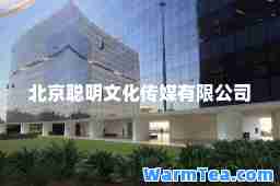 北京聪明文化传媒有限公司