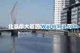 北京华大基因研究中心公司
