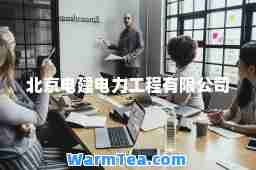北京电建电力工程有限公司