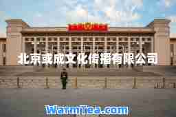 北京或成文化传播有限公司