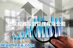 北京股商投资管理有限公司