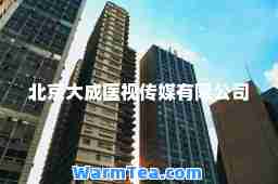 北京大成医视传媒有限公司
