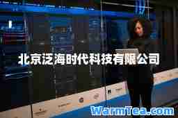 北京泛海时代科技有限公司