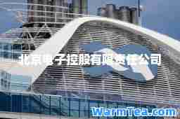 北京电子控股有限责任公司