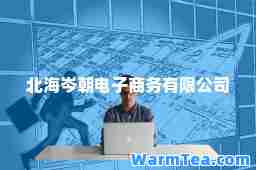 北海岑朝电子商务有限公司