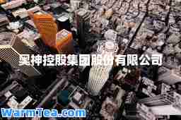 奥控股集团股份有限公司