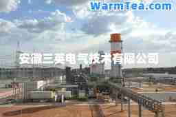 安徽三英电气技术有限公司