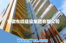 安徽东皖建设集团有限公司