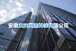 安徽久尚网络科技有限公司
