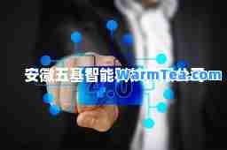 安徽五基智能科技有限公司