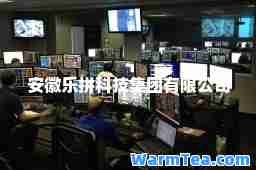 安徽乐拼科技集团有限公司