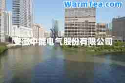 安徽中能电气股份有限公司