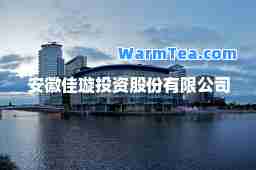 安徽佳璇投资股份有限公司