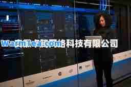 安徽卓腾网络科技有限公司
