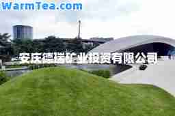 安庆德瑞矿业投资有限公司