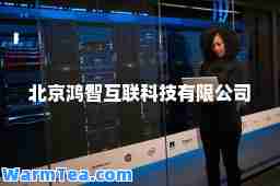 北京鸿智互联科技有限公司