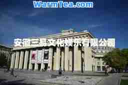 安徽三易文化娱乐有限公司