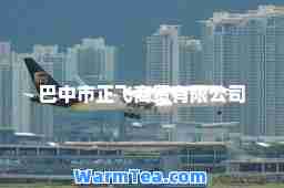 巴中市正飞商贸有限公司